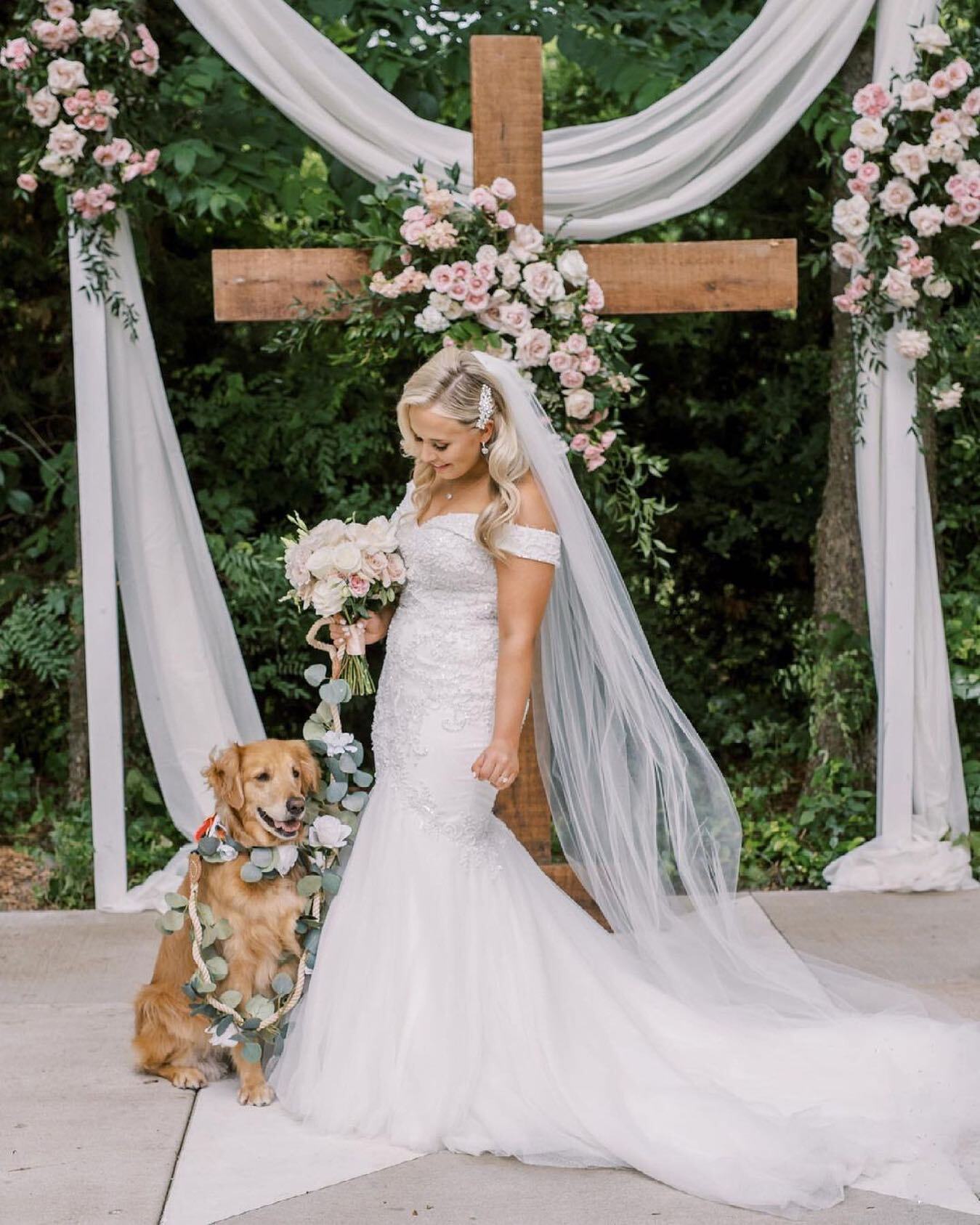 Gallery Image #slidesGrid6