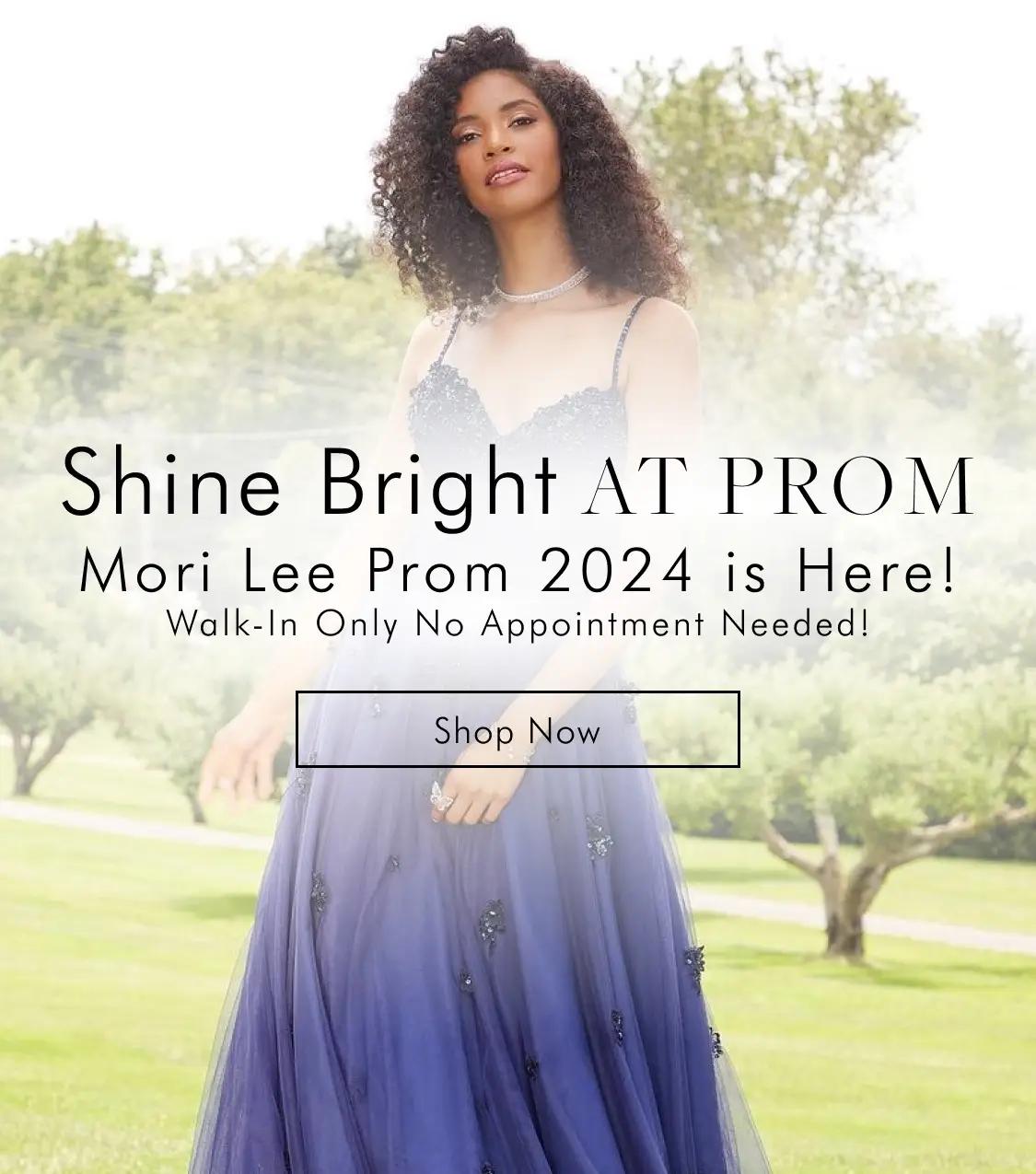 Mobile Morie Lee 2024 Prom Banner